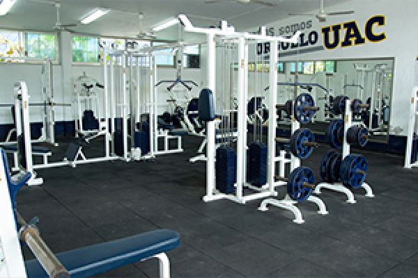 gimnasio007B9C53-0DC1-DA9C-535F-56B22CC039AF.jpg