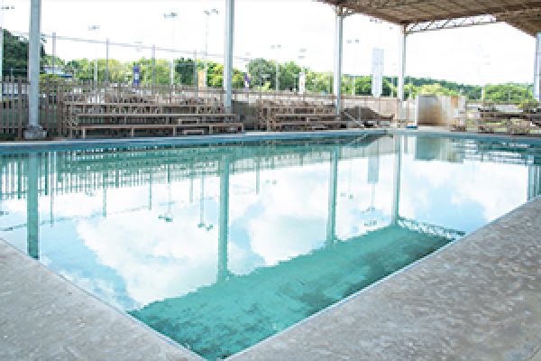 piscina2064BA9E-4285-5F7C-2EC8-8E562FF0E4F9.jpg